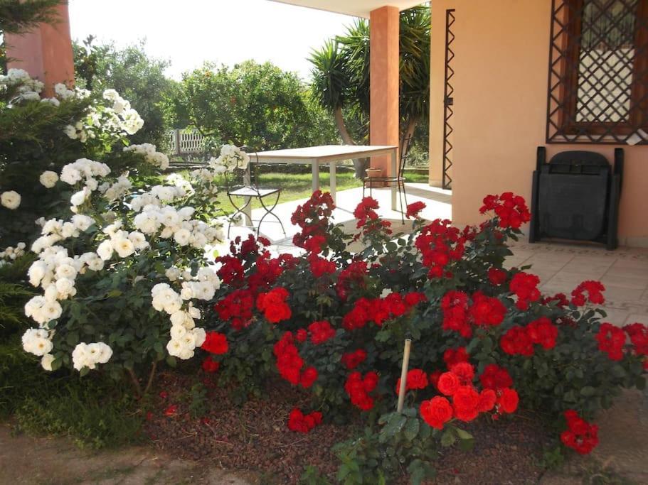 Villa Gabriella Villa San Pietro Екстериор снимка